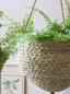 Preview: blumenkorb-seegras-natur-haengend