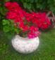 Preview: blumentopf-keramik-shabby-vintage-rosa-rosen