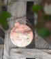 Preview: metall-haenger-vintage-deko-rosen