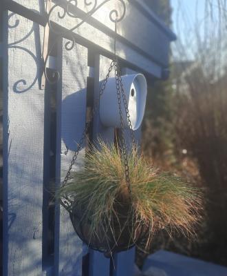 Preview: haengende-blumenampel-eisen-braun-mit-wandhalterung