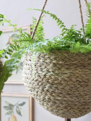 Preview: blumenkorb-seegras-natur-haengend