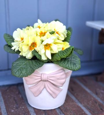 Preview: blumentopf-uebertopf-vintage-rosa-schleife-blumentopf