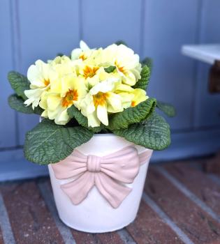 Preview: blumentopf-zement-landhaus-deko