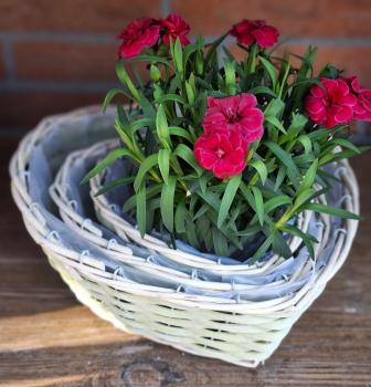 rattan-pflanzkorb-hellgruen-herz-deko-garten