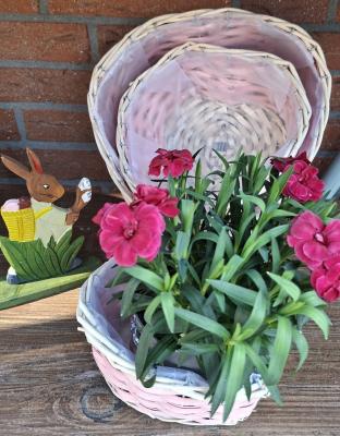 Preview: korb-zum-bepflanzen-herz-rosa