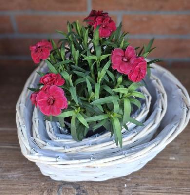 Preview: rattan-pflanzkorb-weiss-herz-deko-garten