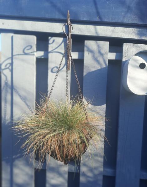 haengeblumenampel-antik-braun-eisen-wandbefestigung