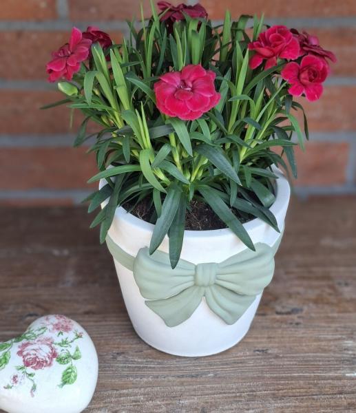 blumentopf-uebertopf-pflanztopf-creme-schleife-salbeigruen