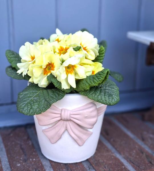 blumentopf-zement-landhaus-deko