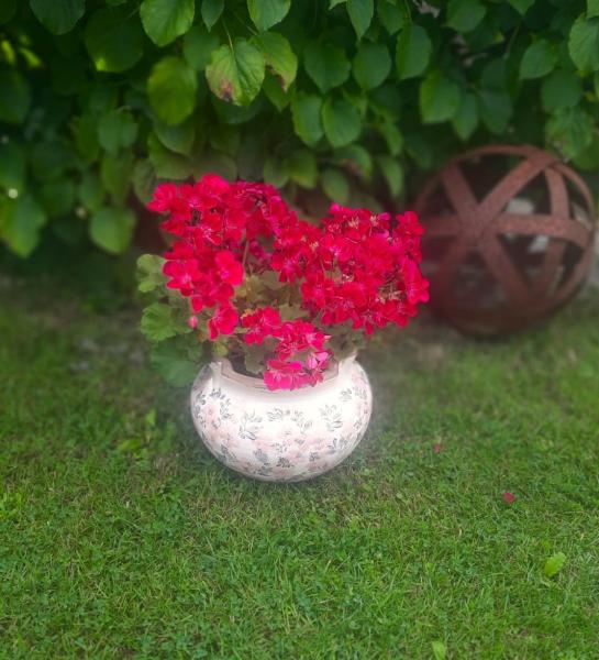 blumen-uebertopf-vintage-shabby-landhausstil-rosen