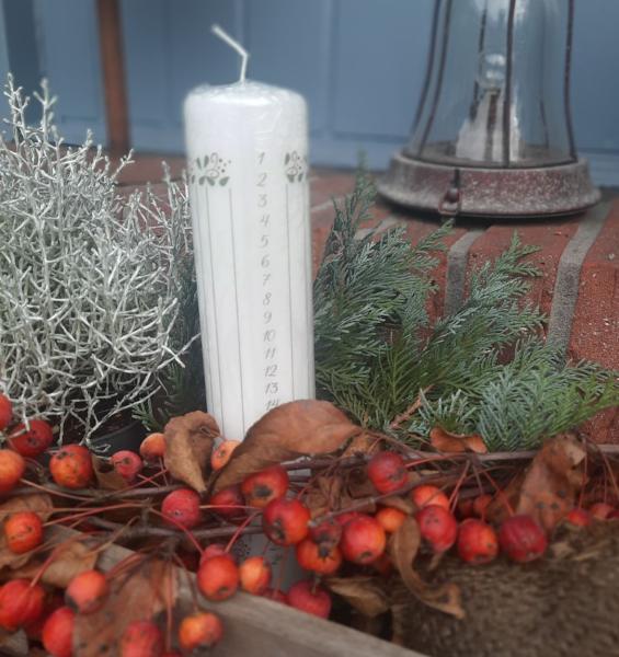 adventskerze-kalenderkerze-ranken-goldene-streifen-24-zahlen