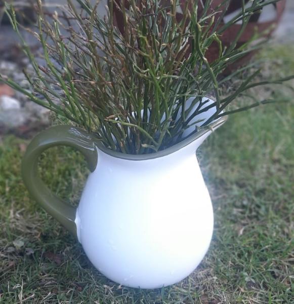 krug-lemon-zitronen-vase-keramik