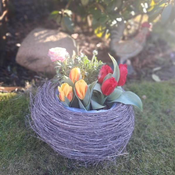 reisig-pflanzkorb-deko-garten