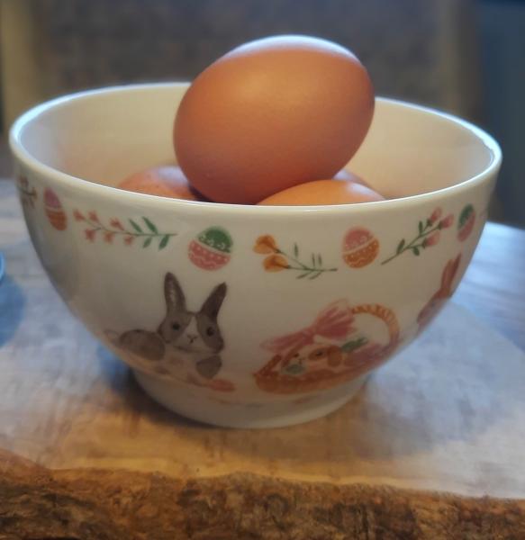 schale-geschirr-ostern-hasen-deko