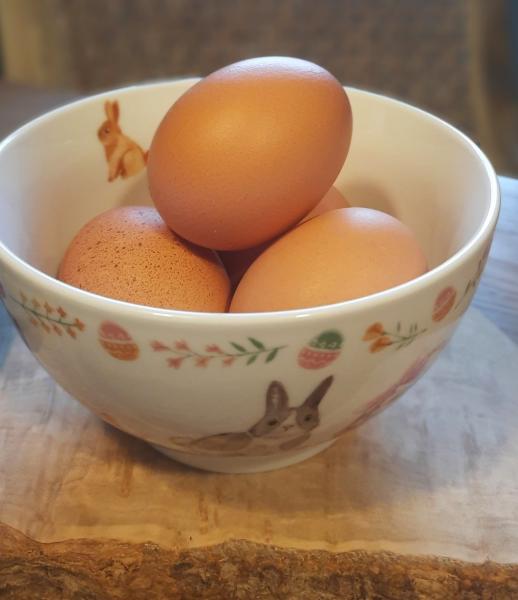 schale-hasen-dekor-ostergeschirr